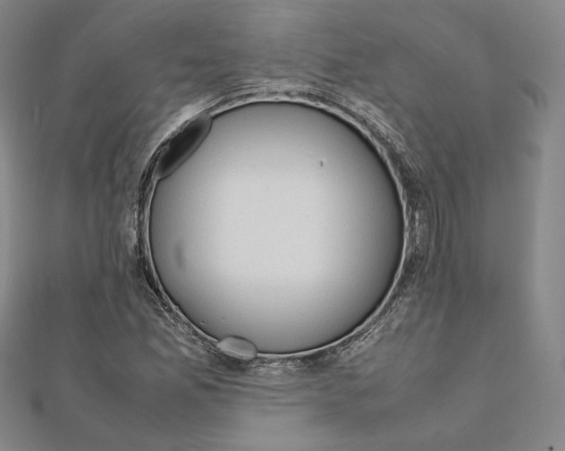 X0000111191165200908121041