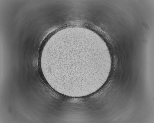 X0000111191166200908121041