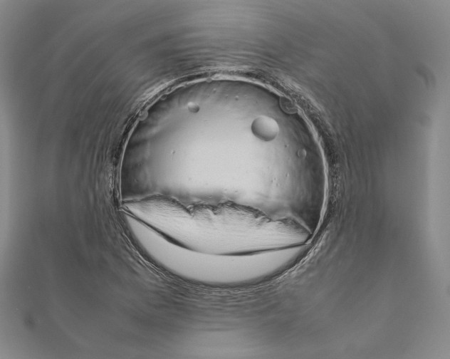 X0000111191169200908121041