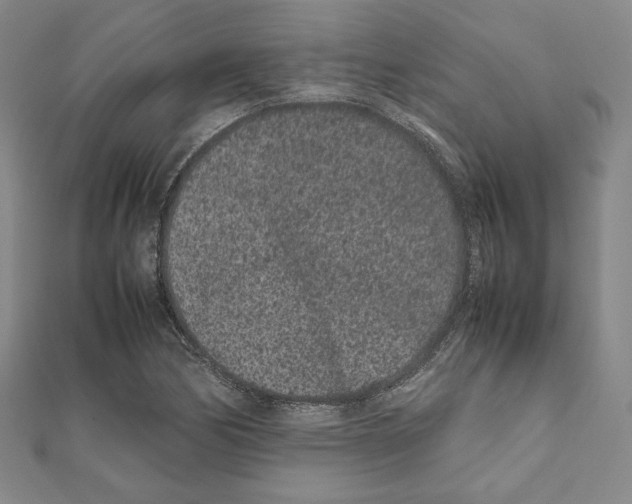 X0000111191170200908121041