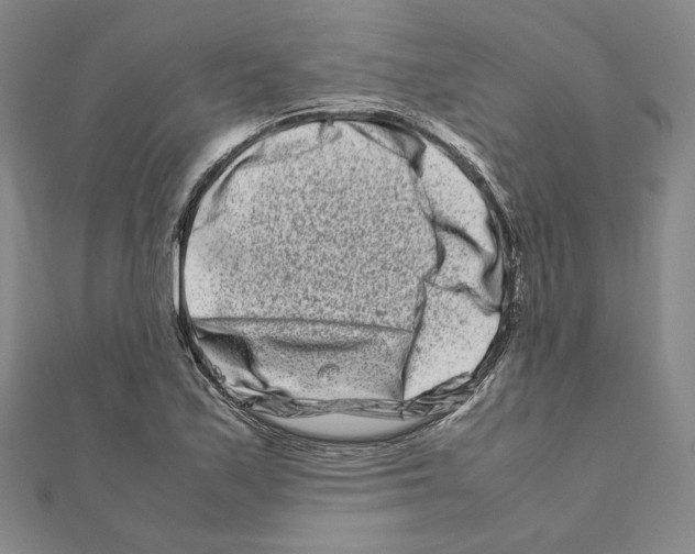 X0000111191171200908121041