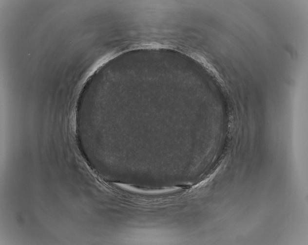 X0000111191173200908121041