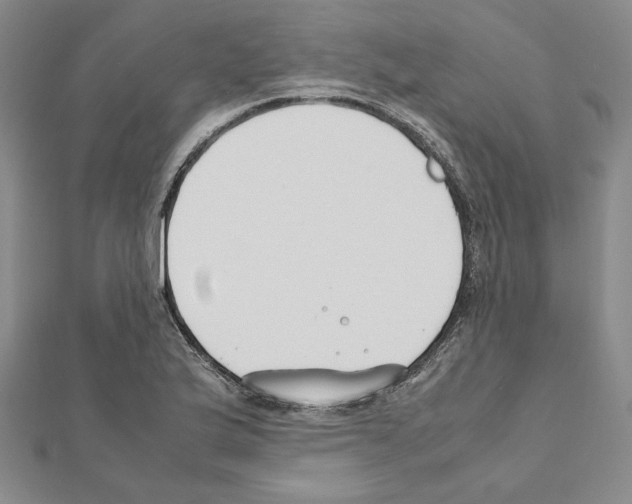 X0000111191175200908121041