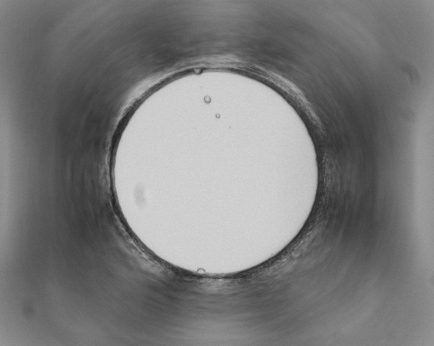 X0000111191176200908121041