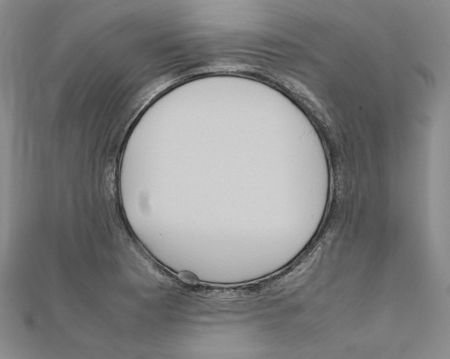 X0000111191177200908121041