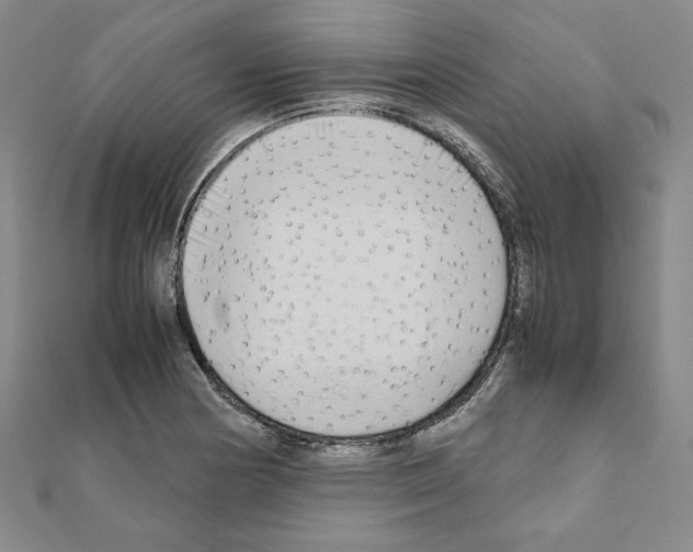 X0000111191178200908121041