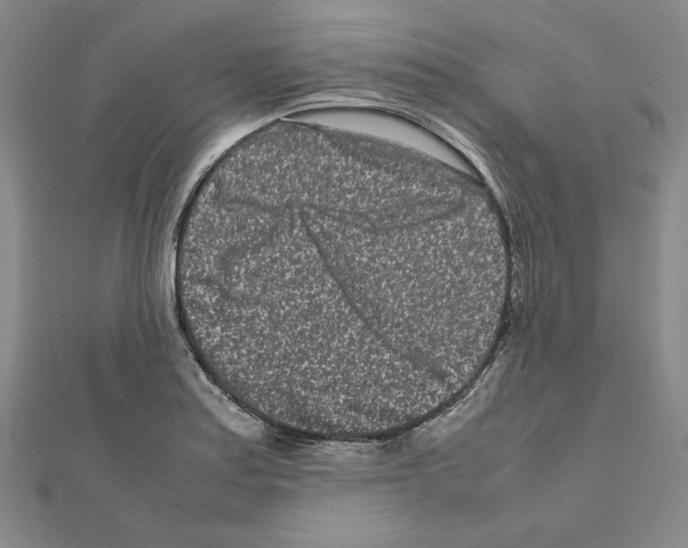 X0000111191179200908121041