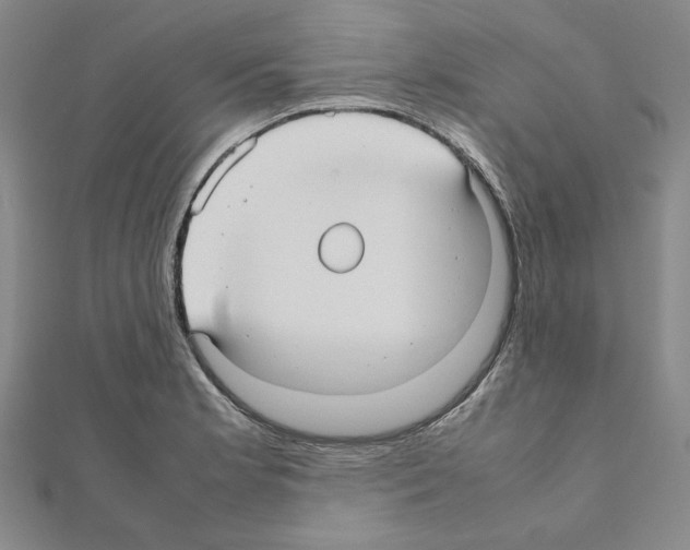 X0000111191181200908121041