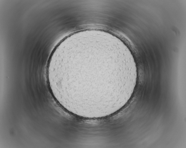 X0000111191182200908121041
