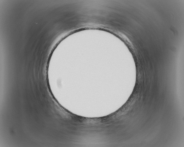 X0000111191183200908121041