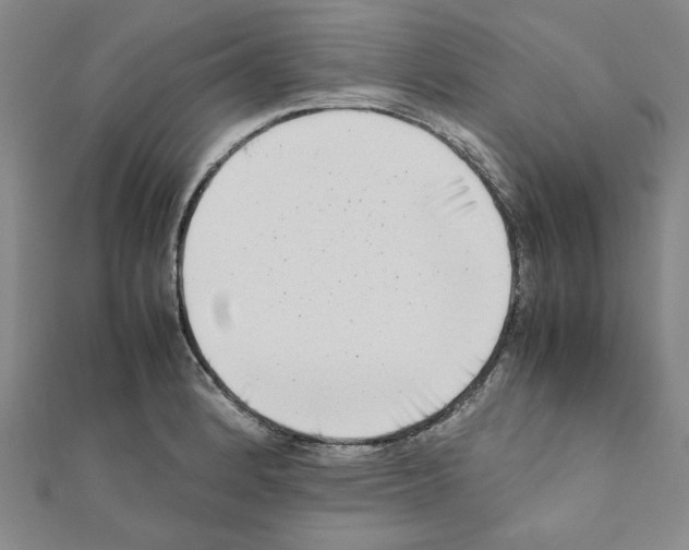 X0000111191184200908121041