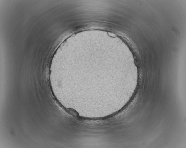 X0000111191185200908121041