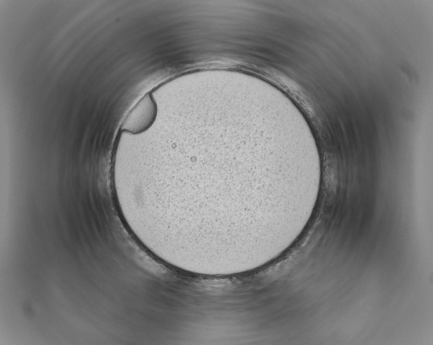 X0000111191186200908121041