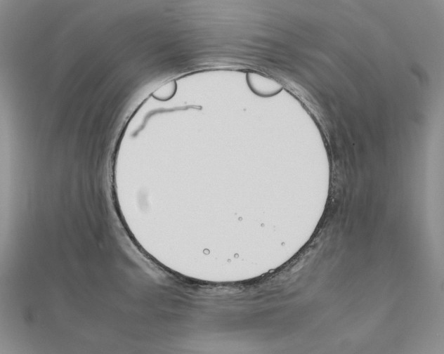 X0000111191187200908121041