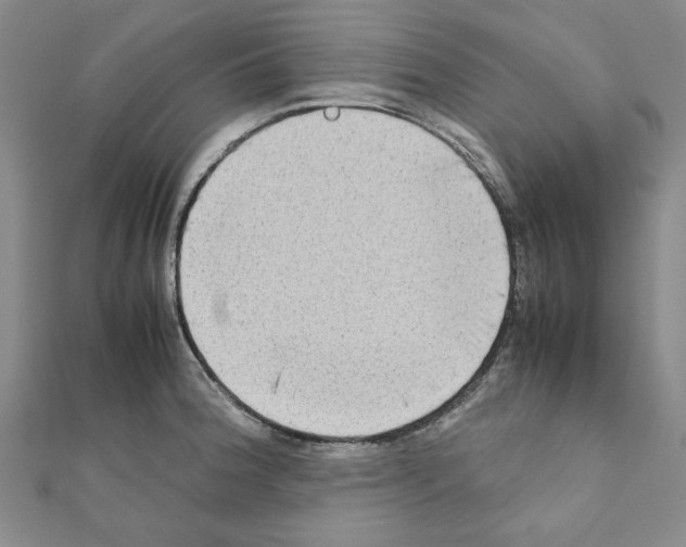 X0000111191188200908121041