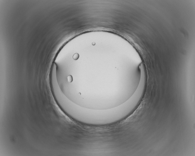 X0000111191189200908121041