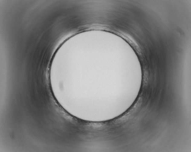 X0000111191190200908121041
