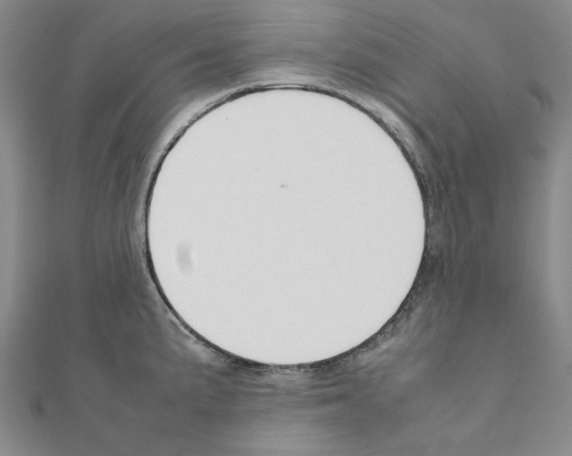 X0000111191191200908121041