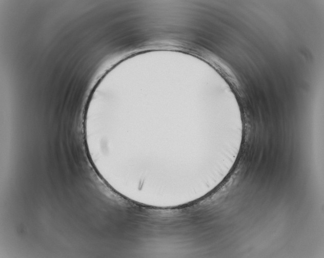 X0000111191192200908121041