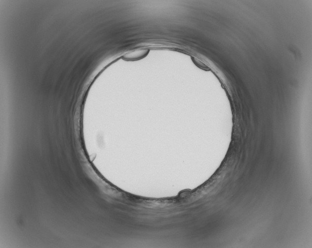 X0000111191195200908121041