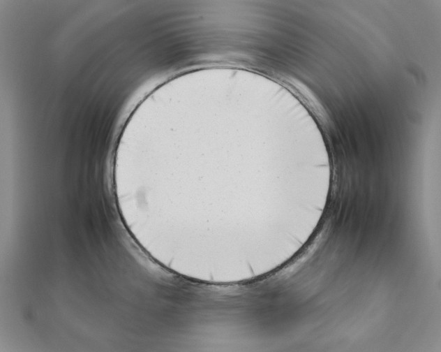 X0000111191196200908121041