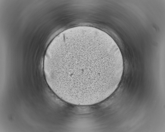 X0000111191198200908121040