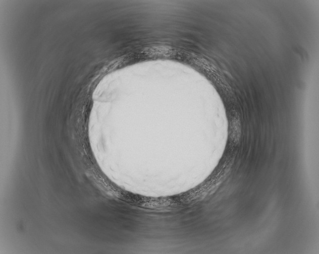 X0000111191201200908121040