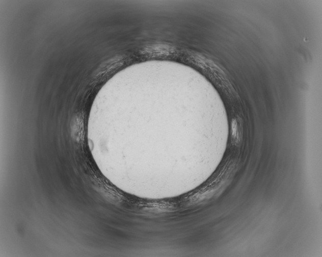 X0000111191203200908121040