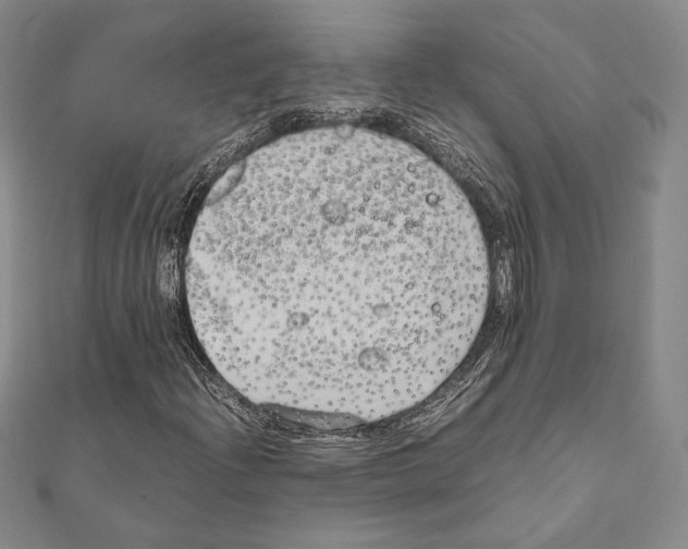 X0000111191204200908121040