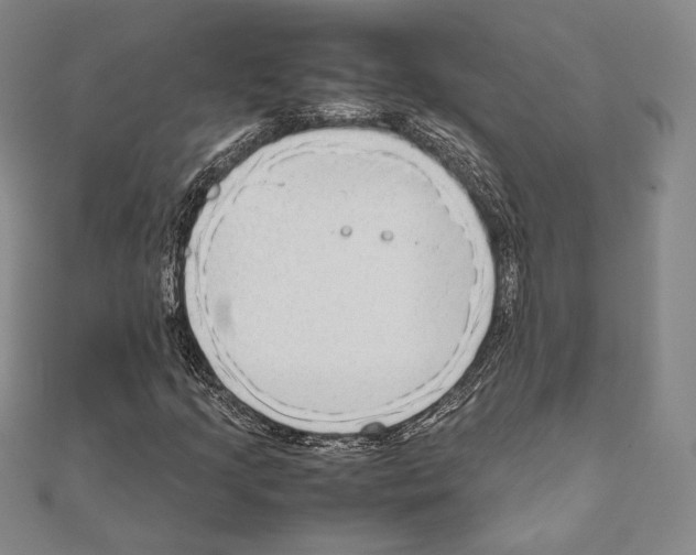 X0000111191205200908121040