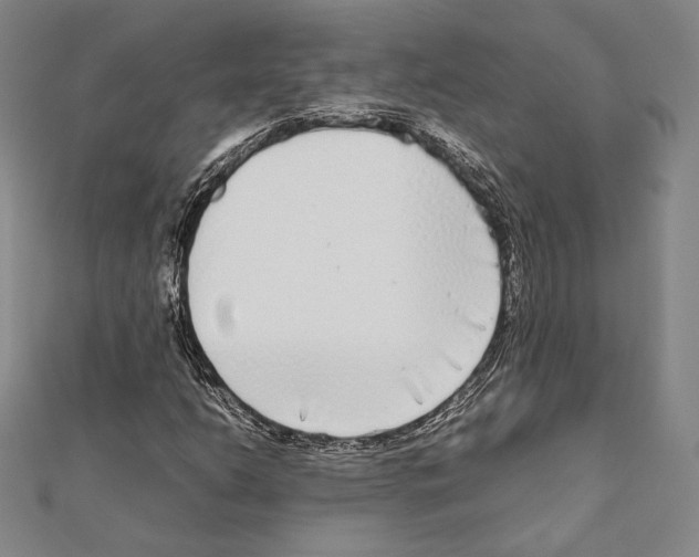 X0000111191206200908121040