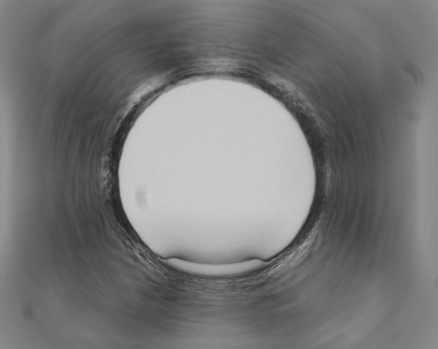 X0000111191210200908121040