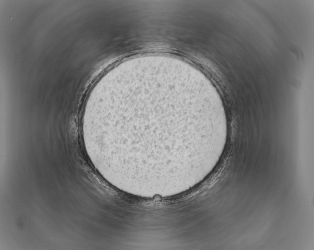 X0000111191212200908121040