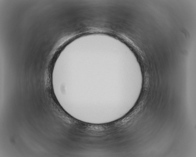 X0000111191215200908121040