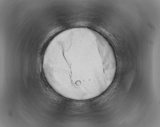 X0000111191219200908121040