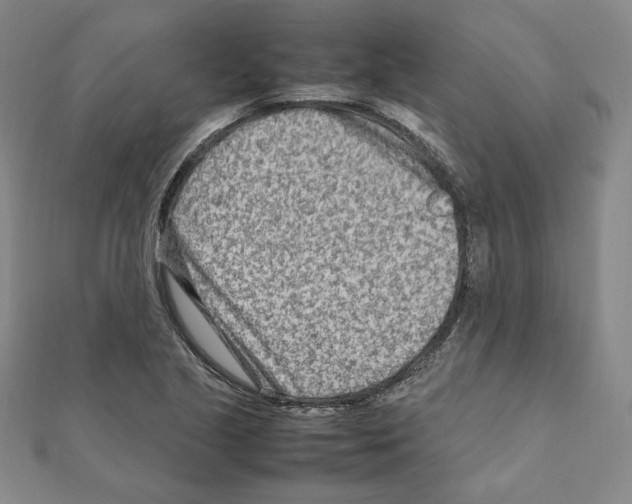 X0000111191221200908121040