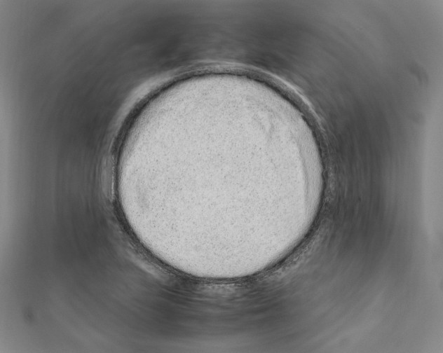 X0000111191223200908121040