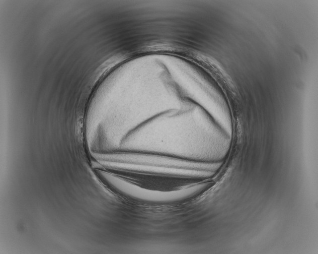 X0000111191225200908121040