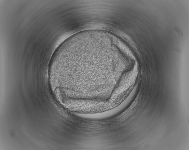 X0000111191226200908121040