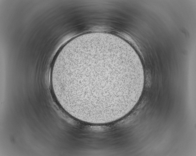 X0000111191227200908121040