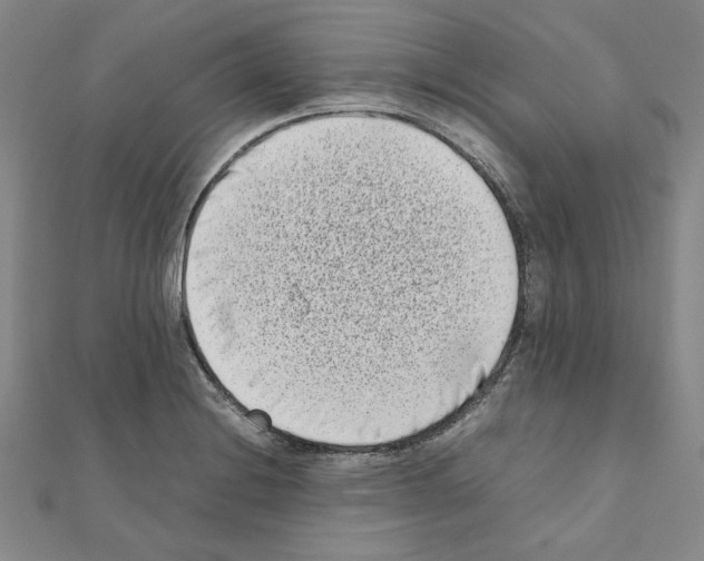 X0000111191228200908121040