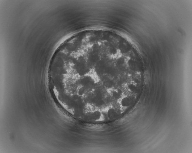 X0000111191229200908121040
