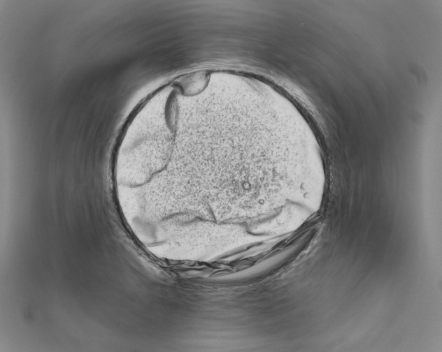 X0000111191230200908121040