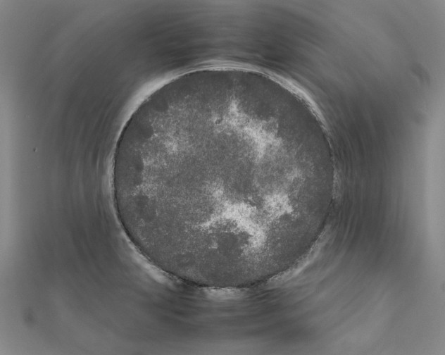 X0000111191231200908121040