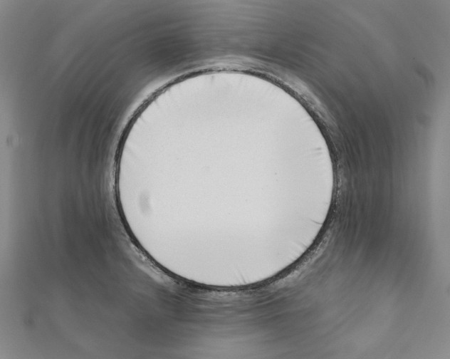 X0000111191232200908121040