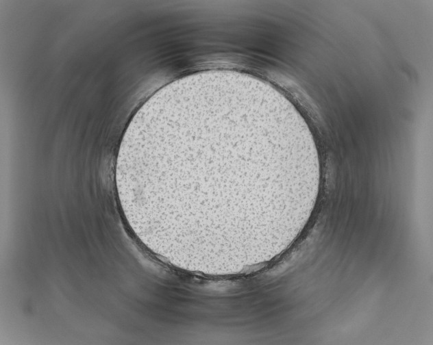 X0000111191233200908121040