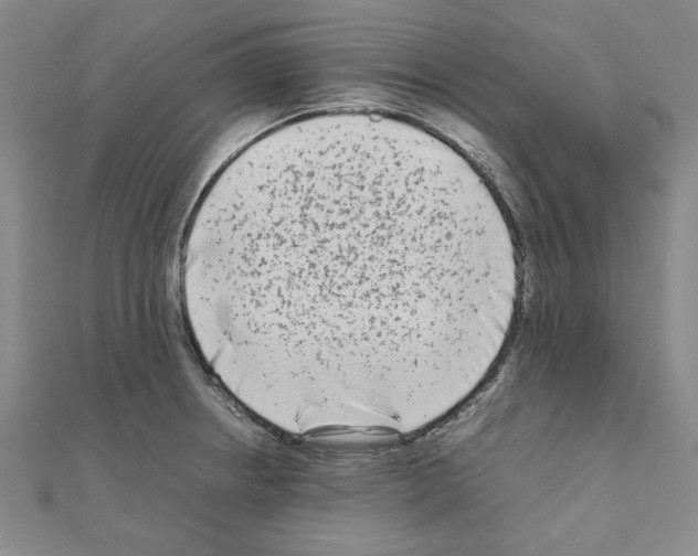 X0000111191234200908121040