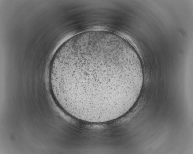 X0000111191235200908121040