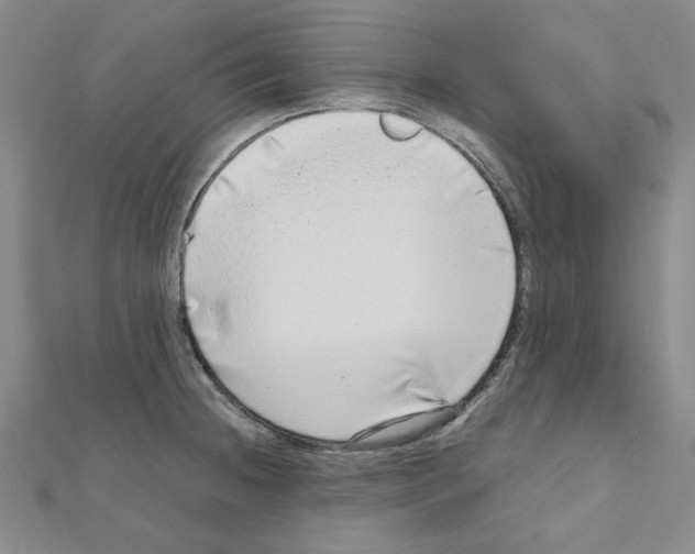 X0000111191236200908121040