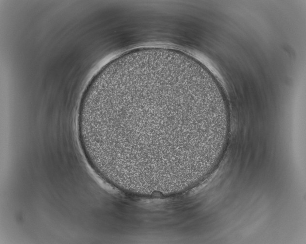 X0000111191237200908121040